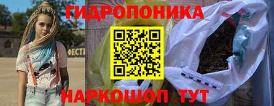 индика Волгодонск