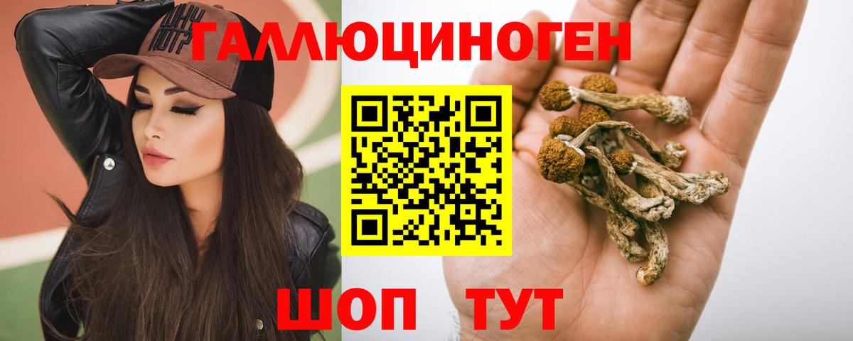 Галлюциногенные грибы ЛСД Кинешма