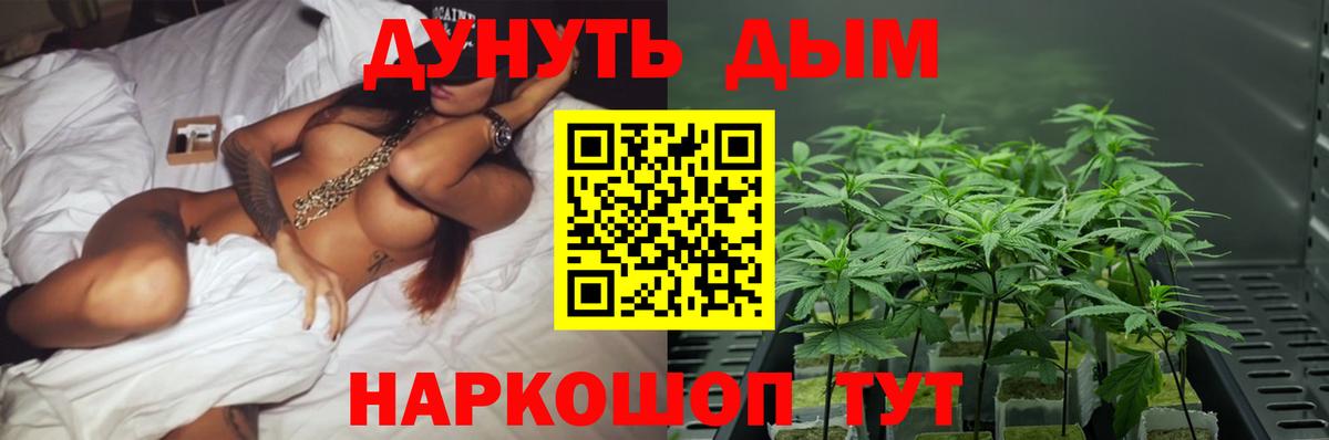 МАРИХУАНА гибрид Кинешма